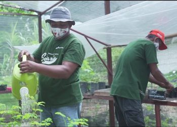 TANTE SISKA merupakan program pertanian terintegrasi yang mengoptimalisasi proses pertanian terpadu (ft Ist)