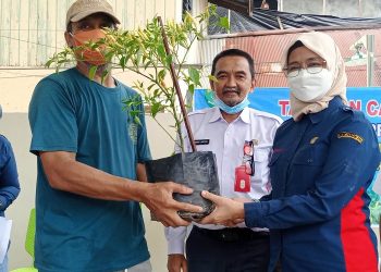 Kepala DPTPH Kaltim Siti Farisyah Yana menyerahkan secara simbolis bibit cabai kepada salah seorang Ketua RT di Kelurahan Jawa