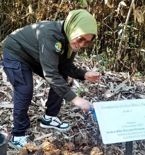 Wakil Kepala Kejaksaan Tinggi (Kejati) Kaltim Amiek Mulandari SH, MH mengikuti kegiatan penanaman bibit pohon di Kebun Raya Balikpapan
