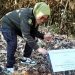 Wakil Kepala Kejaksaan Tinggi (Kejati) Kaltim Amiek Mulandari SH, MH mengikuti kegiatan penanaman bibit pohon di Kebun Raya Balikpapan