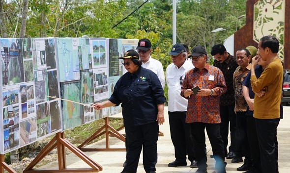 Presiden meninjau langsung Persemaian Mentawir di Sepaku PPU, Kamis (23/02/2023). (Foto: Humas Setkab/Dindha)