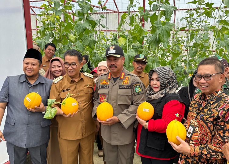 Pj Gubernur Kaltim Akmal Malik dan Bupati Kukar Edi Damansyah saat Panen Melon